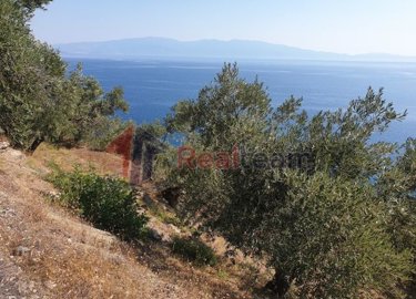 img962ec130-7947-4f03-8e2f-323267e1f70c