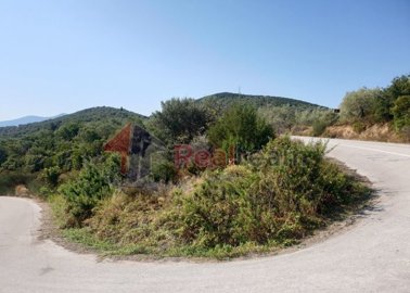 imgc86a1dc4-8863-434e-938d-c6b546d9a56e