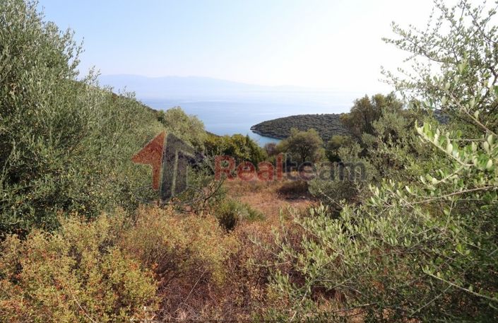 Image No.14-Property for sale