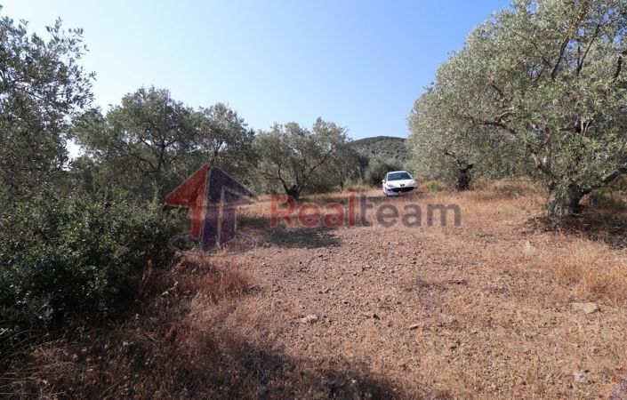 Image No.16-Property for sale