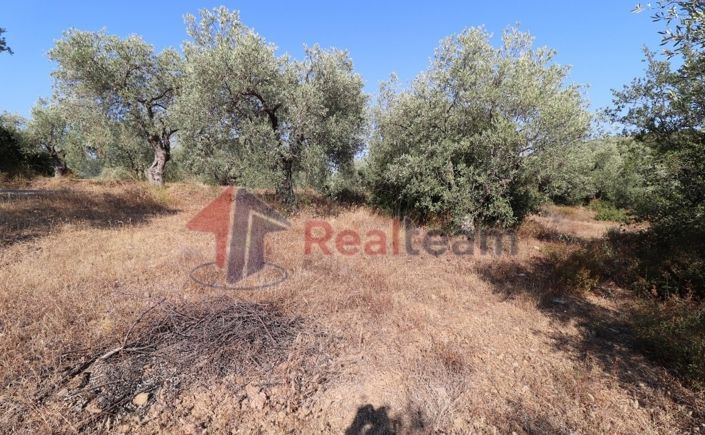 Image No.17-Property for sale