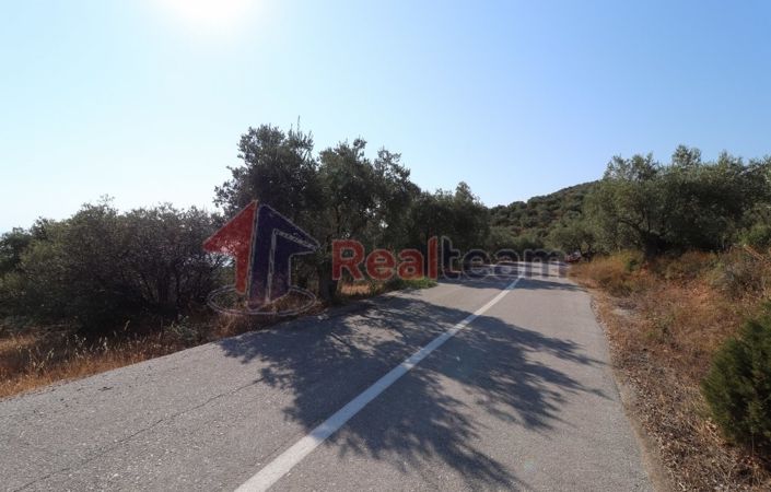 Image No.18-Property for sale