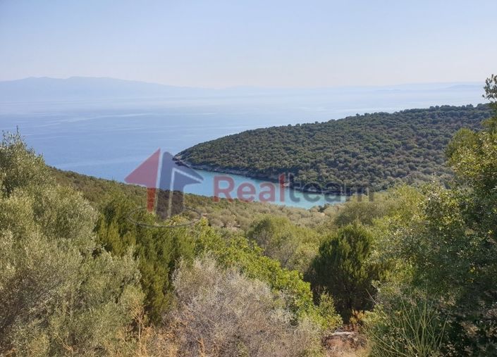 Image No.3-Property for sale