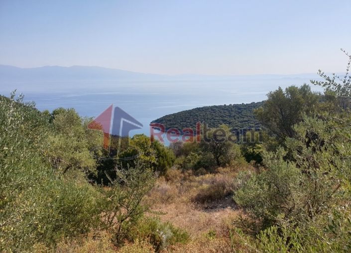 Image No.4-Property for sale