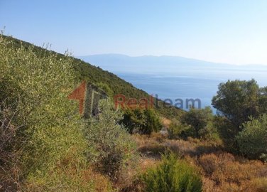 imgead65659-5f5b-410d-b00d-f1e7e3e186d0