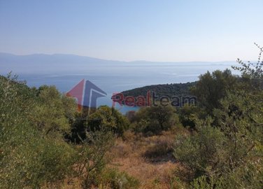 img19a43668-cac0-455b-817b-7c9ad161ed7d