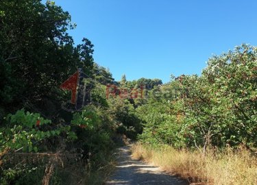 1 - Skopelos, Property