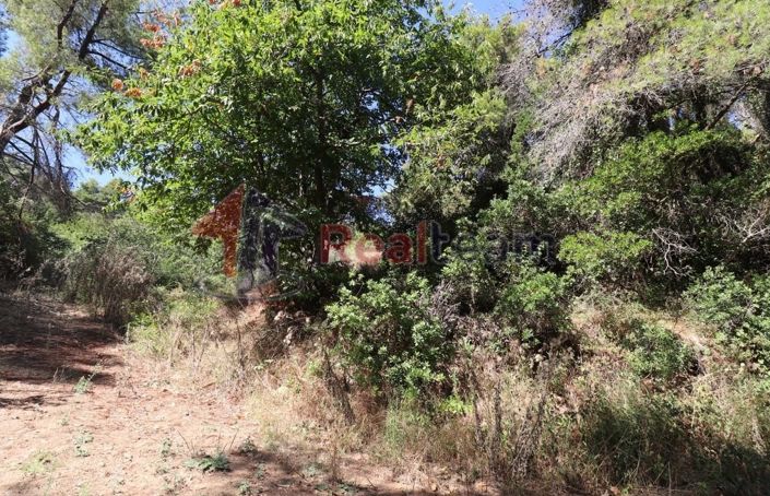 Image No.11-Property for sale