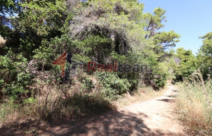 Image No.3-Property for sale