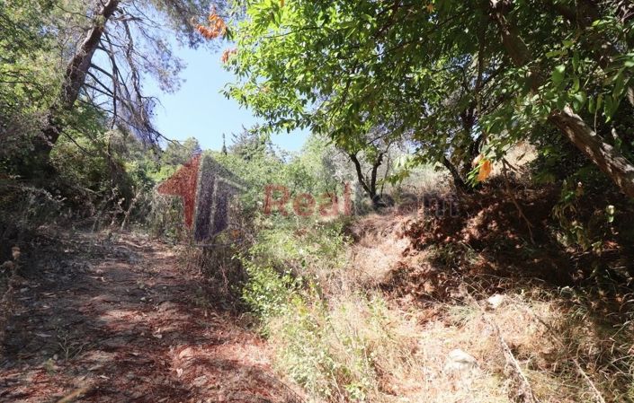 Image No.5-Property for sale