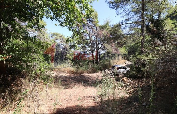 Image No.6-Property for sale