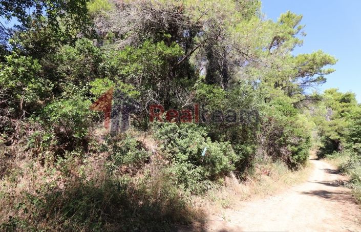 Image No.8-Property for sale