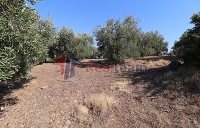 imgef105d04-9c79-4c7f-bdd5-2f41da930dcd