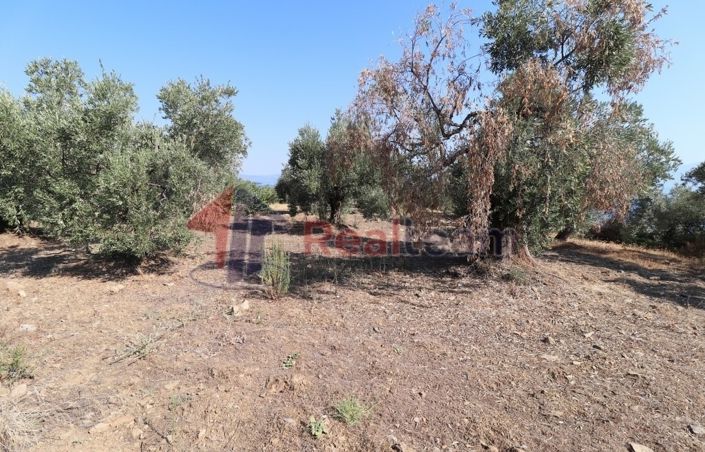 Image No.11-Property for sale