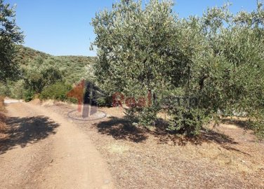 img0e05a89d-1961-4dc4-b90b-3b14f436b857