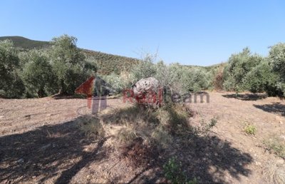 imgc4d0566d-0738-4d47-a53c-dd19aff6357b