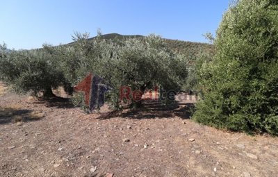 img83779f25-5eaf-4003-b736-284b45c10d1f