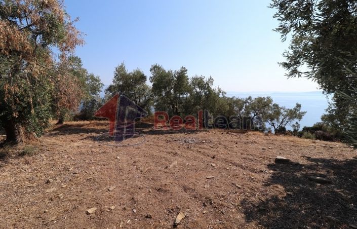 Image No.3-Property for sale