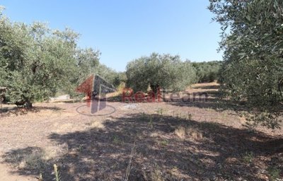 img99401220-80a8-401b-8519-bf43e84eae06