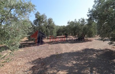 img8ef5945f-abbe-440d-a39c-8866c756ee2b