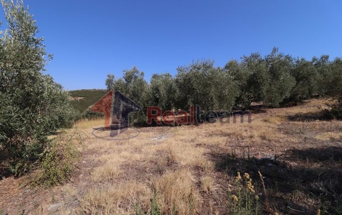 Image No.6-Property for sale