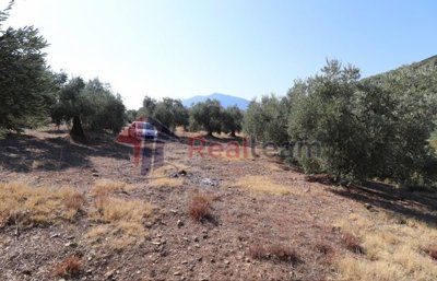 img899be376-98ef-47f9-b4a1-704538990485