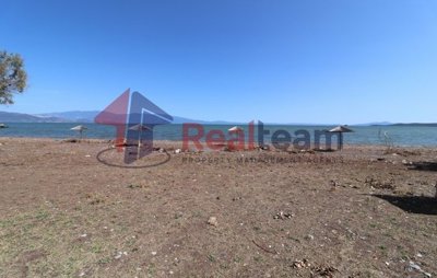 img72076bbe-2533-48c5-b008-67e93abe50bb