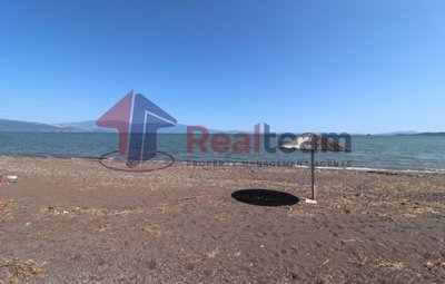 img84fc9c39-370b-40c0-81fc-934ba2f7b95c