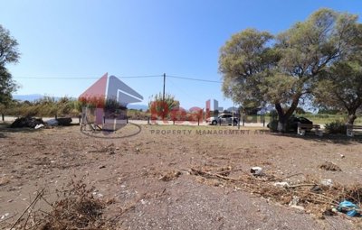 img92d03525-e7f0-49b8-bf78-ebae3c587ed0