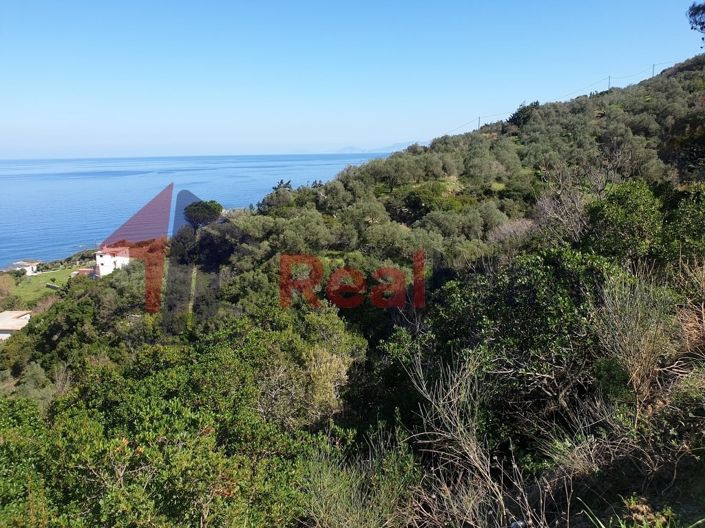 Image No.13-Property for sale