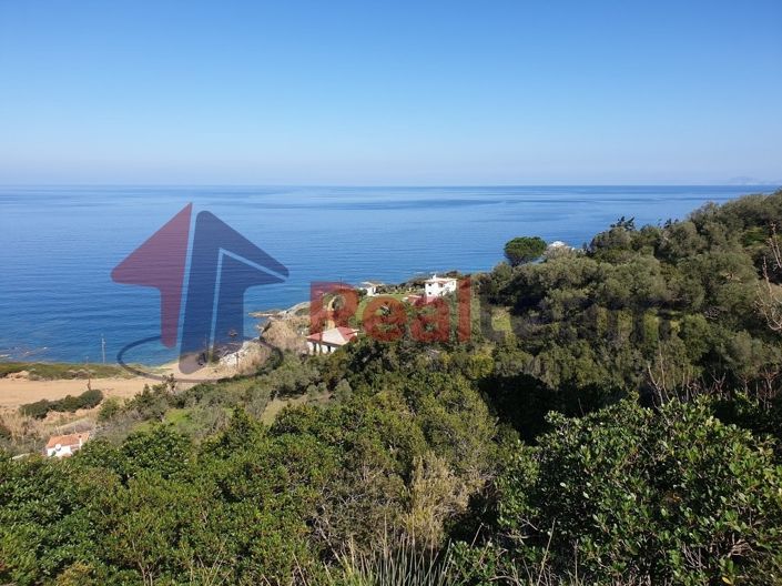 Image No.19-Property for sale