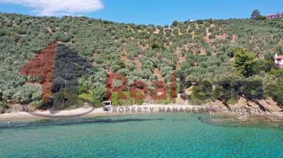 img91e19613-8b0a-4675-be8e-c3b6654a513c