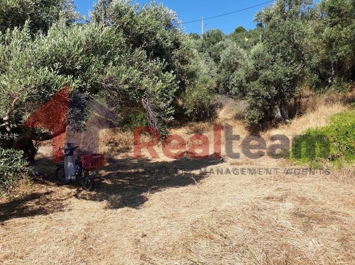 Image No.11-Property for sale