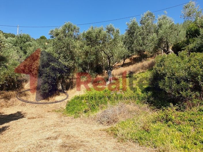 Image No.12-Property for sale