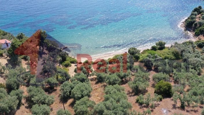 Image No.19-Property for sale