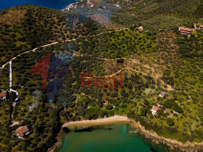 Image No.6-Property for sale