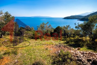 imgd344cbf7-7c74-4d4e-b3ae-64b7c36bbd3c