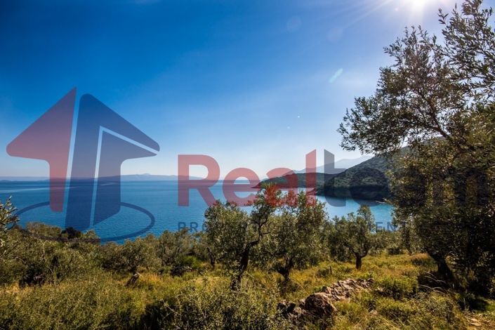 Image No.16-Property for sale