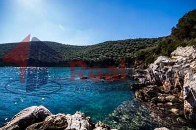 img9490bd14-c485-4828-b5ec-ca7d2258b13d