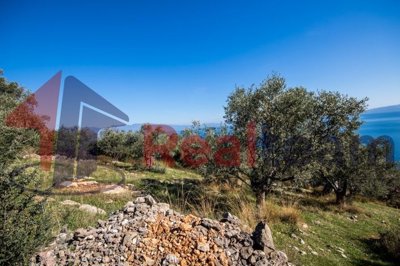 imga5c0ff09-bdf6-4975-91b2-be665a51619e