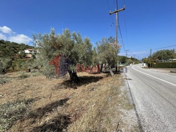 img9b332bbe-7575-479d-b643-804baced0ab2