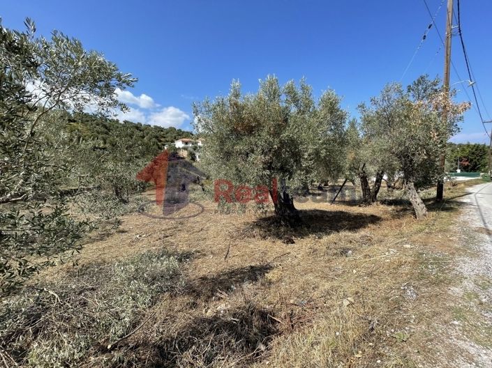 Image No.15-Property for sale