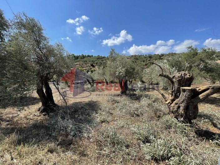 Image No.16-Property for sale