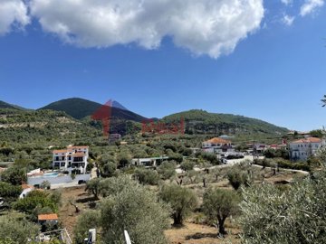 img790e69f6-af05-4597-a3be-c172392290ed