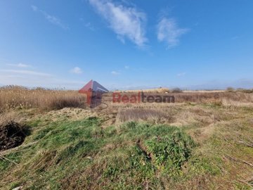 img9680fe3a-bb98-4b14-97b7-d65303948e54