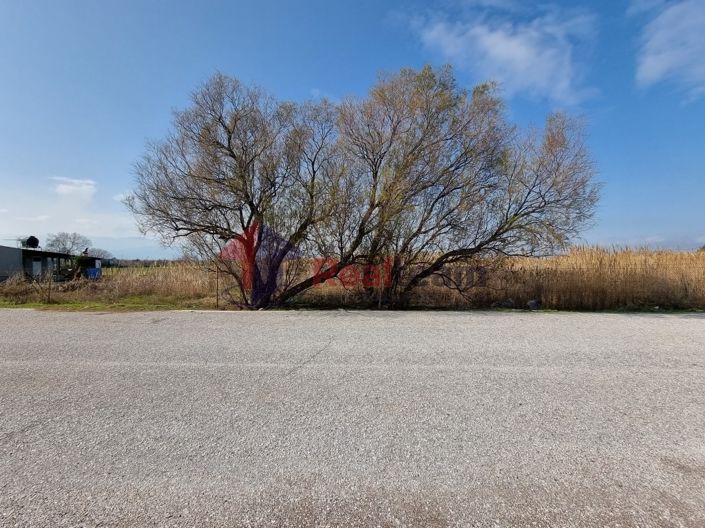 Image No.19-Property for sale