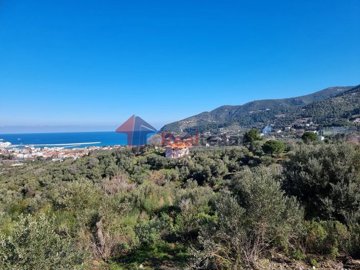 img44fa5113-ec0f-49cf-adf4-932829af224d