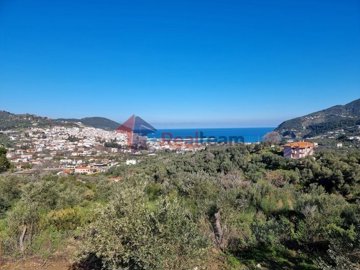 img2e0303a4-832b-4b10-a706-3699b08de938