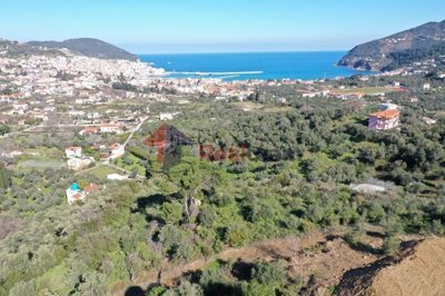 imgb4aab6da-9eca-47eb-8a6a-57f93a6c5dc8