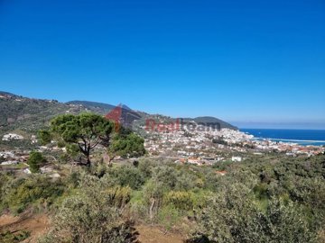 imgaf59f5bb-1f01-4b6d-a72a-fac5a23f1c05